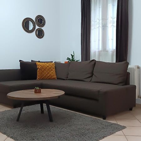 Baou House 1 Appartement Metsovo Buitenkant foto